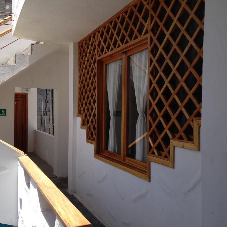 Galapagos Native Hostel Puerto Ayora  Kamer foto